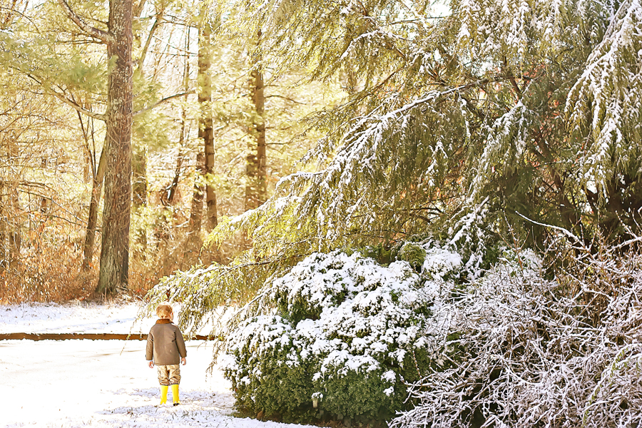 wynn in the snow small