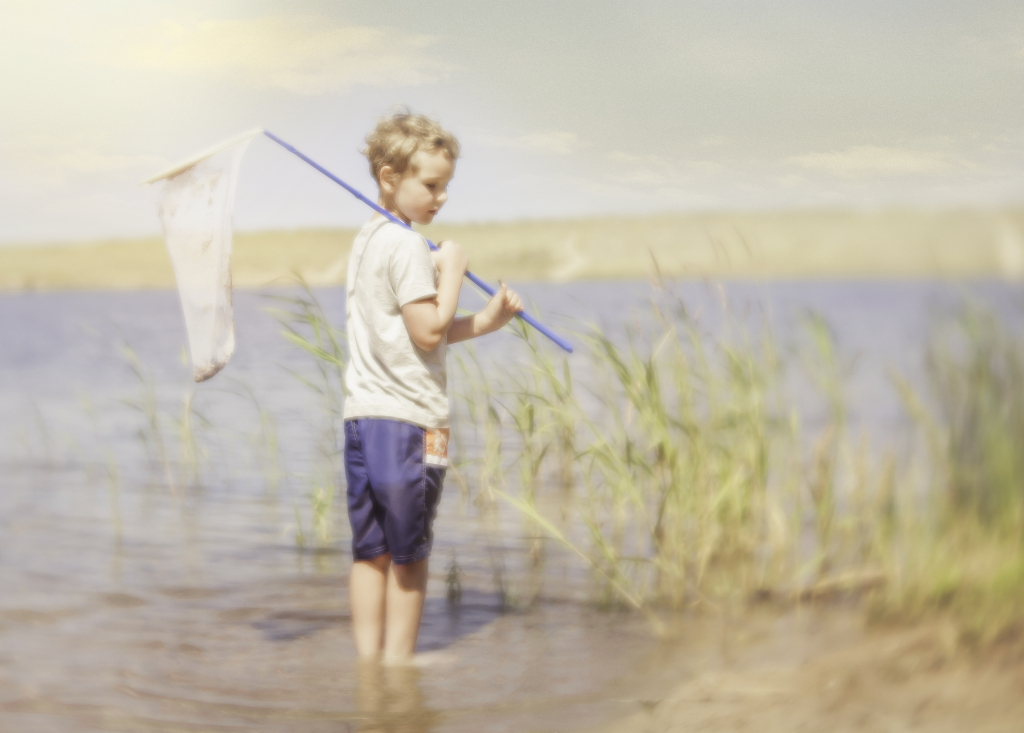 fishing for minnows