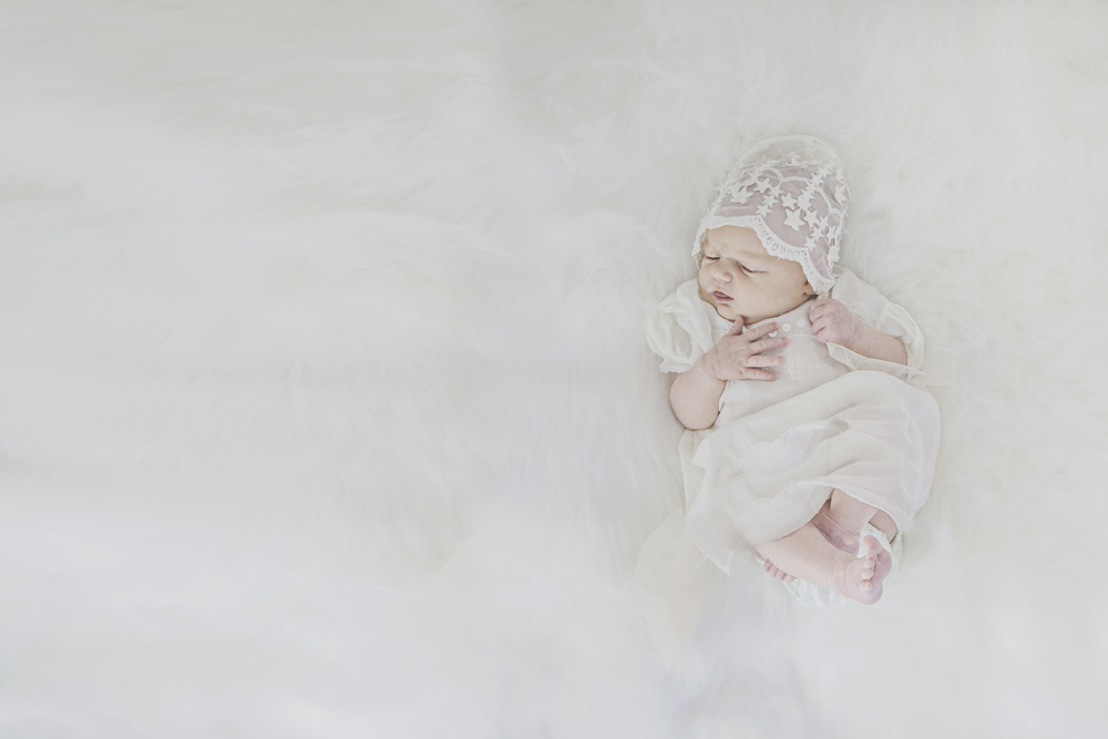 evelyn newborn blog