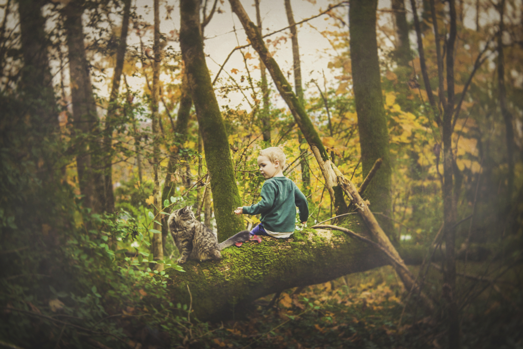 james fluffy in the woods